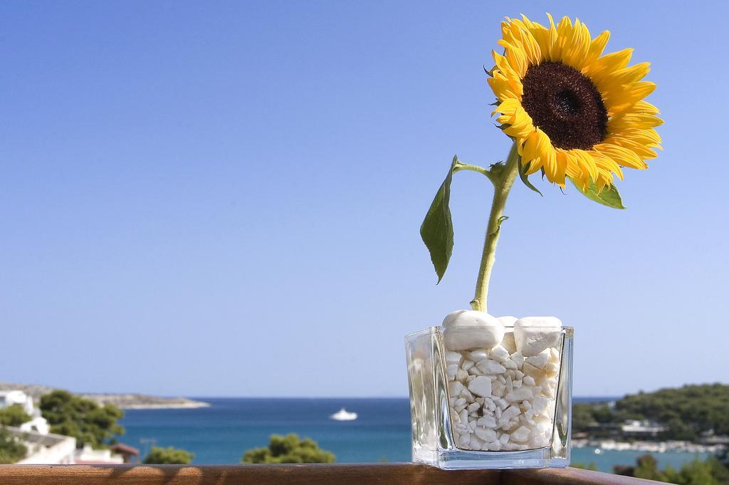 Plaza Vouliagmeni Strand Hotel Vari-Voula-Vouliagmeni Extérieur photo